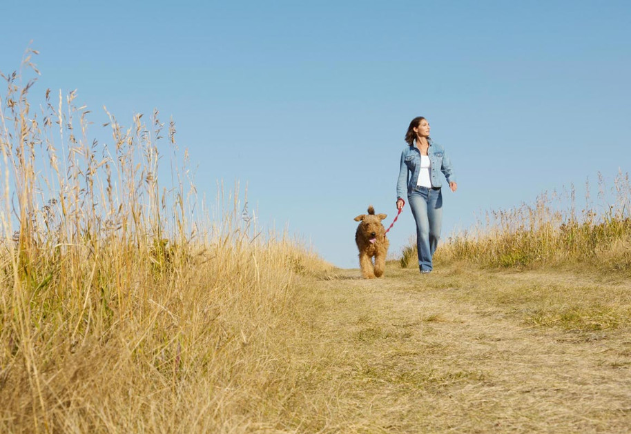 Underwood Financial Aligned Capital Partners